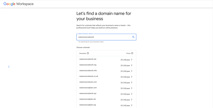 Google Workspace Domain Search