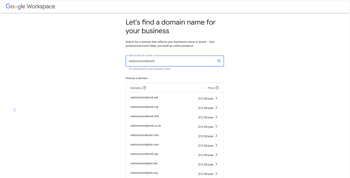 Google Workspace Domain Search