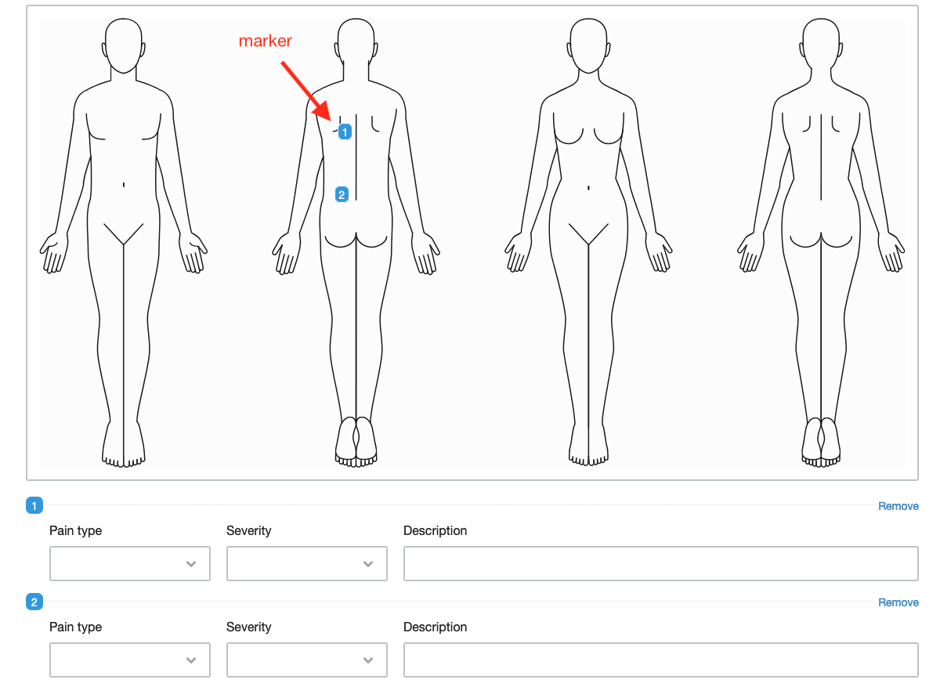 Body charts marker 2