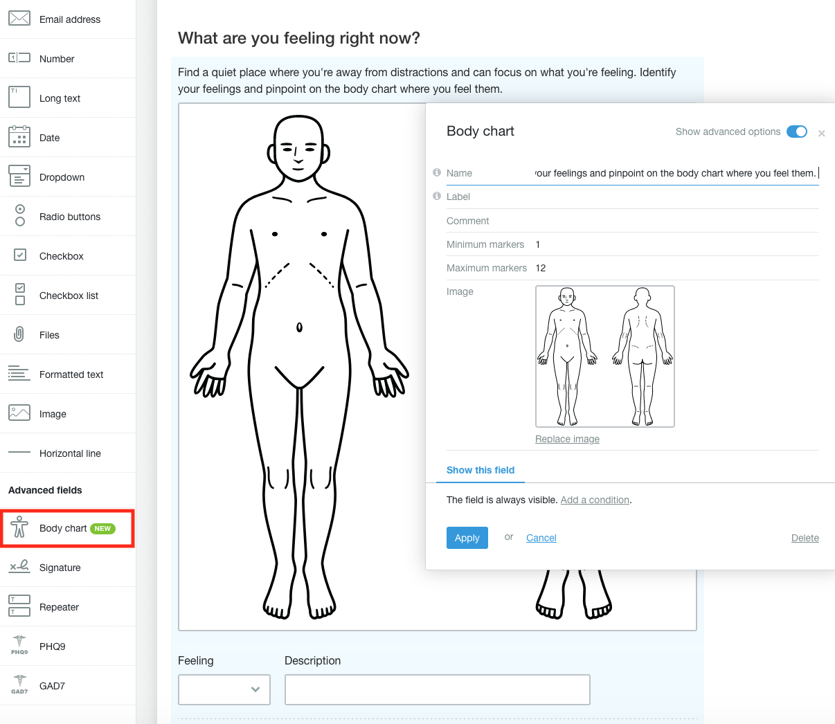 Subj Body Chart Create a CBT homework form using body charts, conditional visibility ...